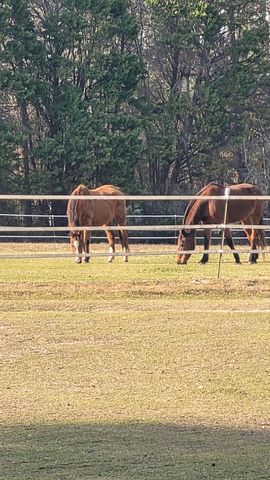 1640 Hialeah, Sumter, SC 29154