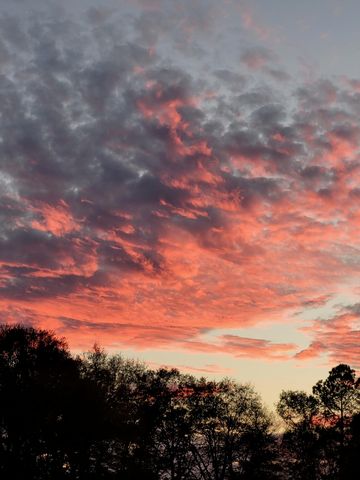 1640 Hialeah, Sumter, SC 29154