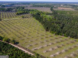 0 Kermit Road, Cobbtown, GA 30420