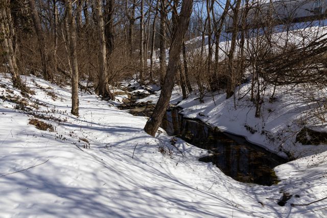 1100 Alexandria Drive, Lawrenceburg, KY 40342