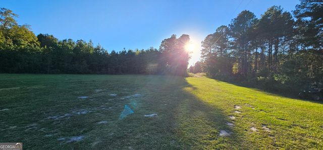 596 Arnett School Road, Sylvania, GA 30467