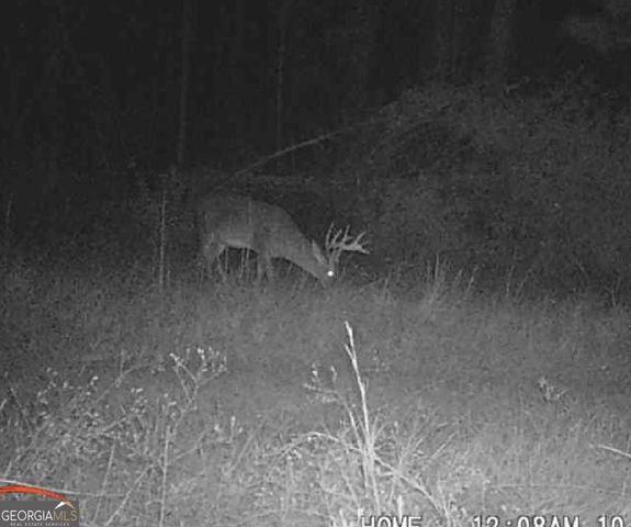 596 Arnett School Road, Sylvania, GA 30467