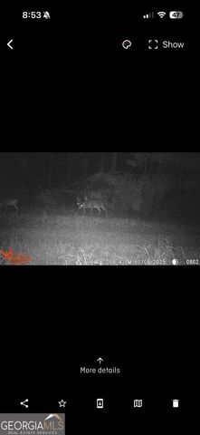 596 Arnett School Road, Sylvania, GA 30467