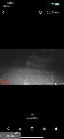 596 Arnett School Road, Sylvania, GA 30467