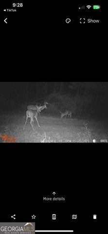 596 Arnett School Road, Sylvania, GA 30467