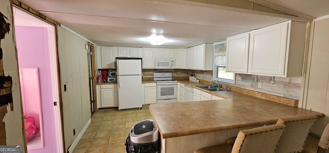 596 Arnett School Road, Sylvania, GA 30467