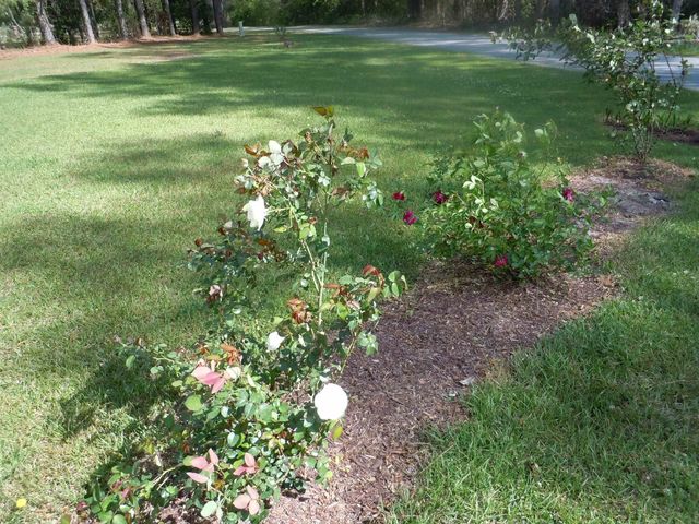 78 A J Lane, Tabor City, NC 28463