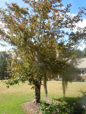 78 A J Lane, Tabor City, NC 28463