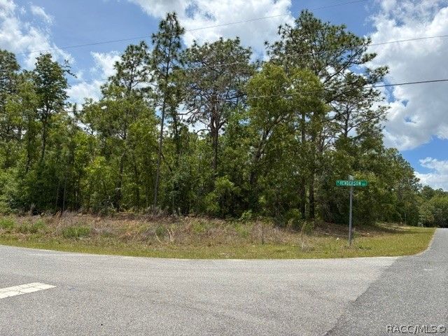 7174 N Glenridge Circle, Citrus Springs, FL 34434