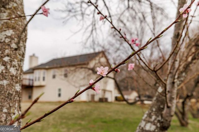 871 Jefferson Walk Circle, Jefferson, GA 30549