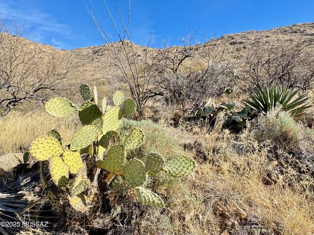 19675 S Sonoita Highway, Vail, AZ 85641