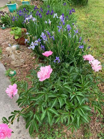 40 Motley Drive, Lafayette, GA 30728