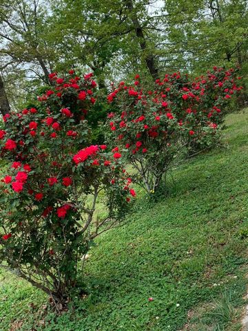 40 Motley Drive, Lafayette, GA 30728