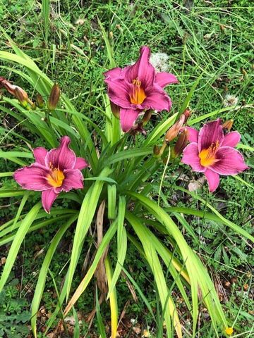 40 Motley Drive, Lafayette, GA 30728