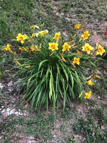 40 Motley Drive, Lafayette, GA 30728