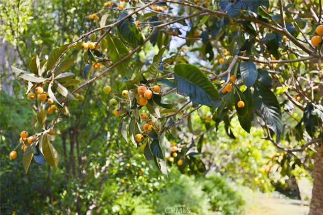 11385 La Vereda, North Tustin, CA 92705