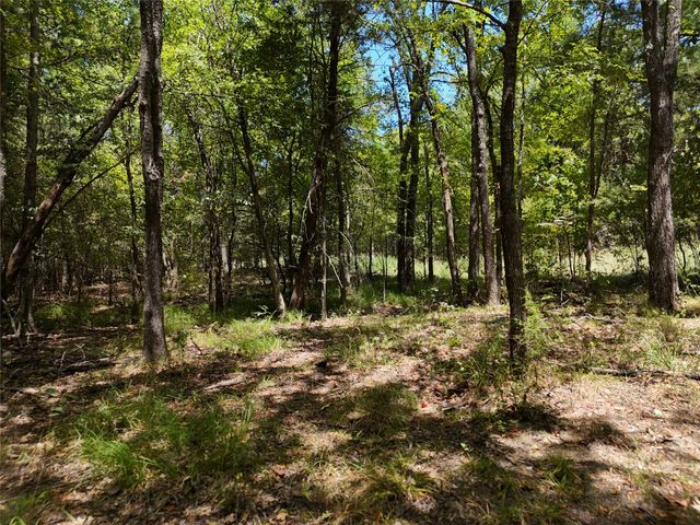 1600 CR 2765, Honey Grove, TX 75446