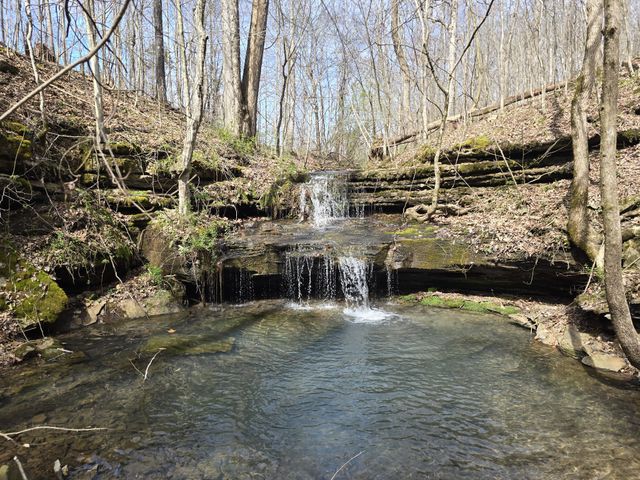 1125 Rose Hill Rd, Pulaski, TN 38478