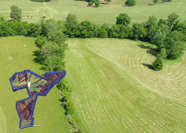 1125 Rose Hill Rd, Pulaski, TN 38478