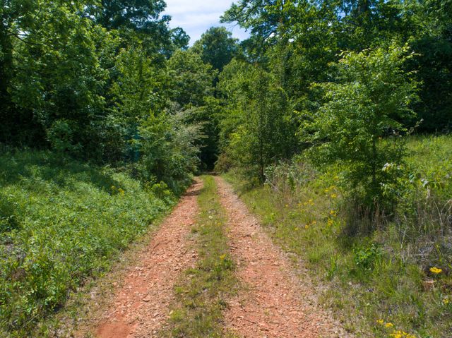 1125 Rose Hill Rd, Pulaski, TN 38478