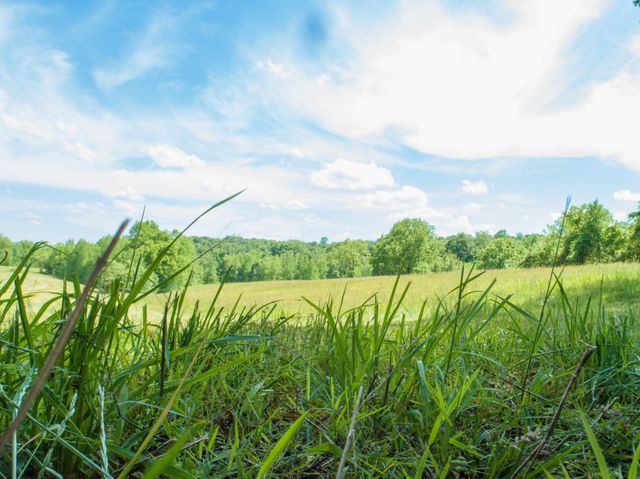 1125 Rose Hill Rd, Pulaski, TN 38478