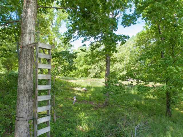 1125 Rose Hill Rd, Pulaski, TN 38478