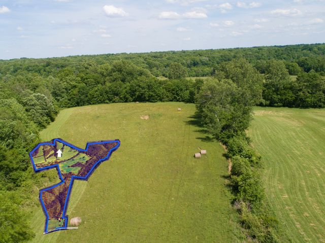1125 Rose Hill Rd, Pulaski, TN 38478