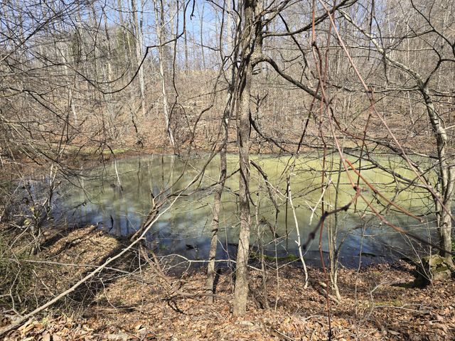 1125 Rose Hill Rd, Pulaski, TN 38478