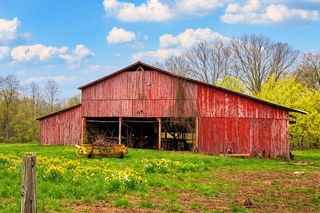 1125 Rose Hill Rd, Pulaski, TN 38478