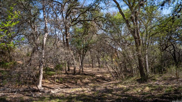 1312 Alsace, Castroville, TX 78009