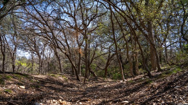 1312 Alsace, Castroville, TX 78009