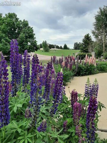 1009 Slate Way, Monument, CO 80132