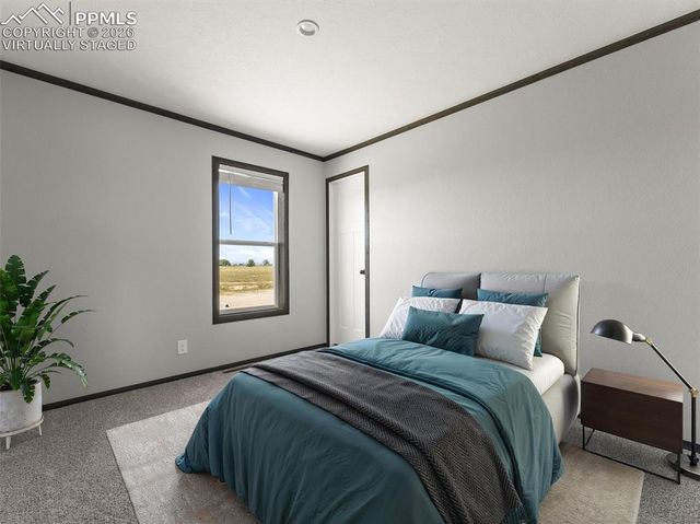 17755 County Road 2, Rush, CO 80833