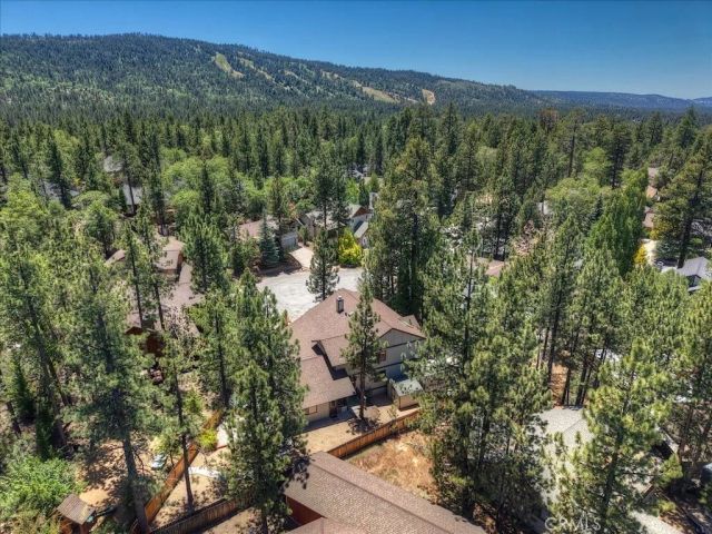 42756 Tannenbaum Platz, Big Bear Lake, CA 92315