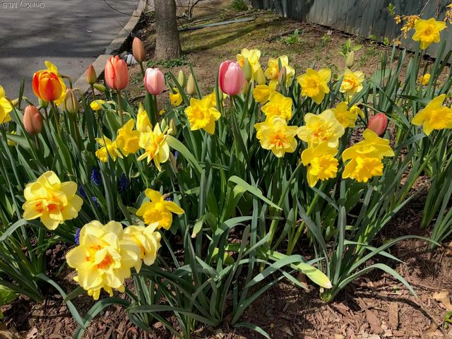 48 Gordon Avenue South Unit, Sleepy Hollow, NY 10591