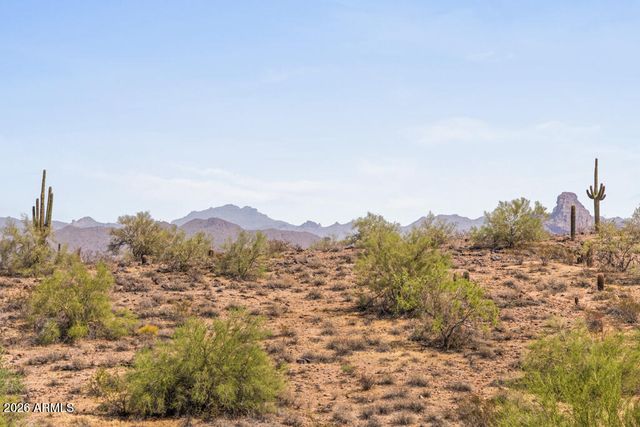 10827 N SONORA Vista, Fountain Hills, AZ 85268