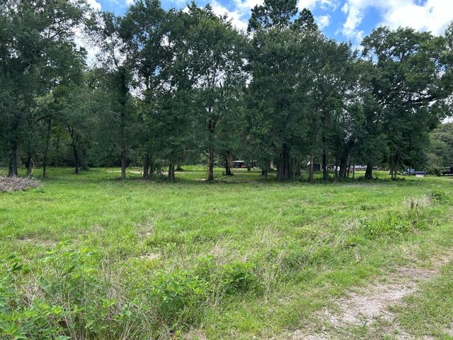 TBD N Mount Mariah Road, Montgomery, TX 77356