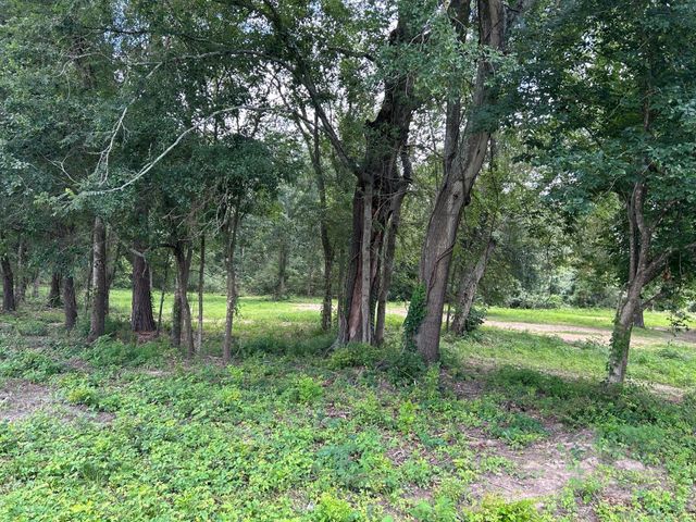 TBD N Mount Mariah Road, Montgomery, TX 77356