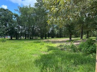 TBD N Mount Mariah Road, Montgomery, TX 77356