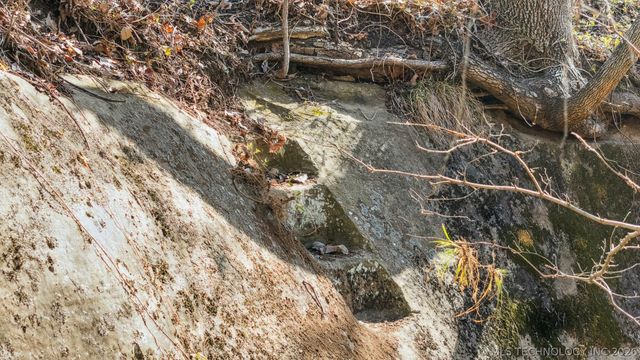 21665 186th Street, Haskell, OK 74436