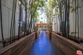 711 Cole Avenue 306, Los Angeles, CA 90038