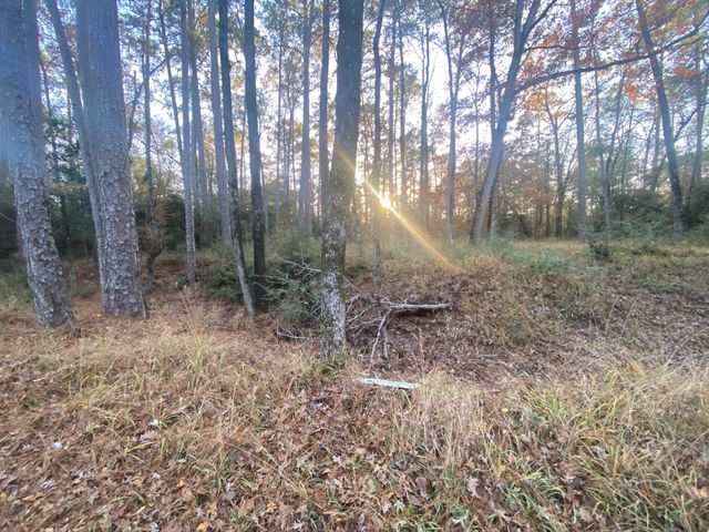 26721 E Pecan Circle, Huntsville, TX 77320