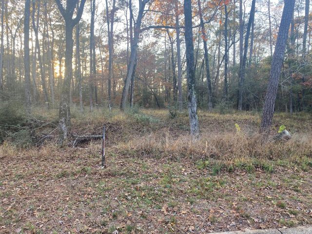 26721 E Pecan Circle, Huntsville, TX 77320