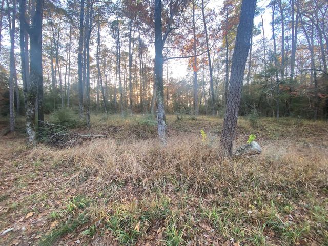 26721 E Pecan Circle, Huntsville, TX 77320