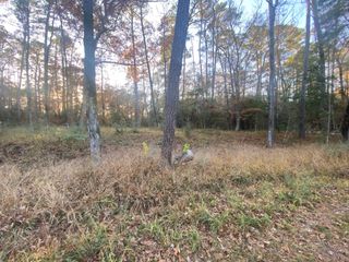 26721 E Pecan Circle, Huntsville, TX 77320