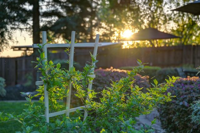 1665 Gallinger Ct, Folsom, CA 95630