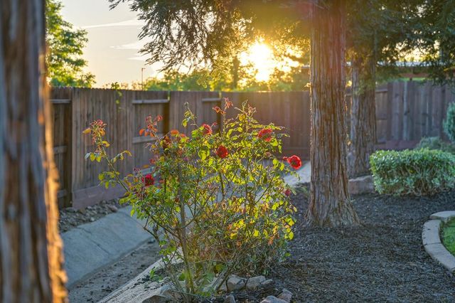 1665 Gallinger Ct, Folsom, CA 95630