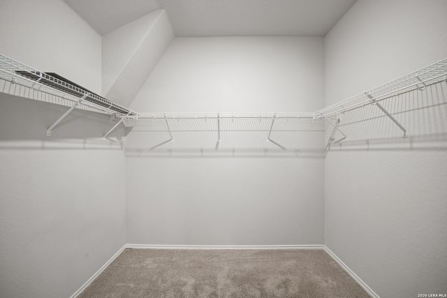 2002 Rhesus Vw, San Antonio, TX 78245