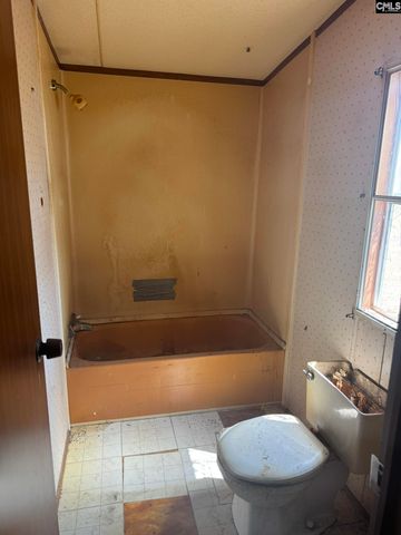 230 Ann Street, Pelion, SC 29123