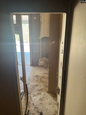 230 Ann Street, Pelion, SC 29123